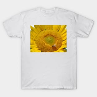 Sunflower T-Shirt